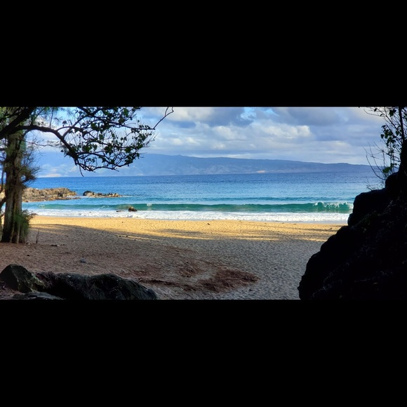 Meet your Posher, Lynn - Picture 2 of 2